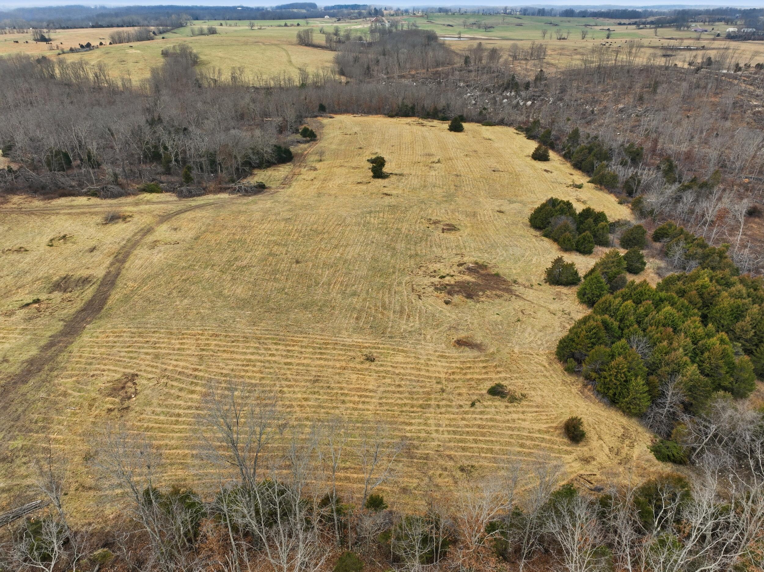 000 County Road 60-489 Property Photo 16