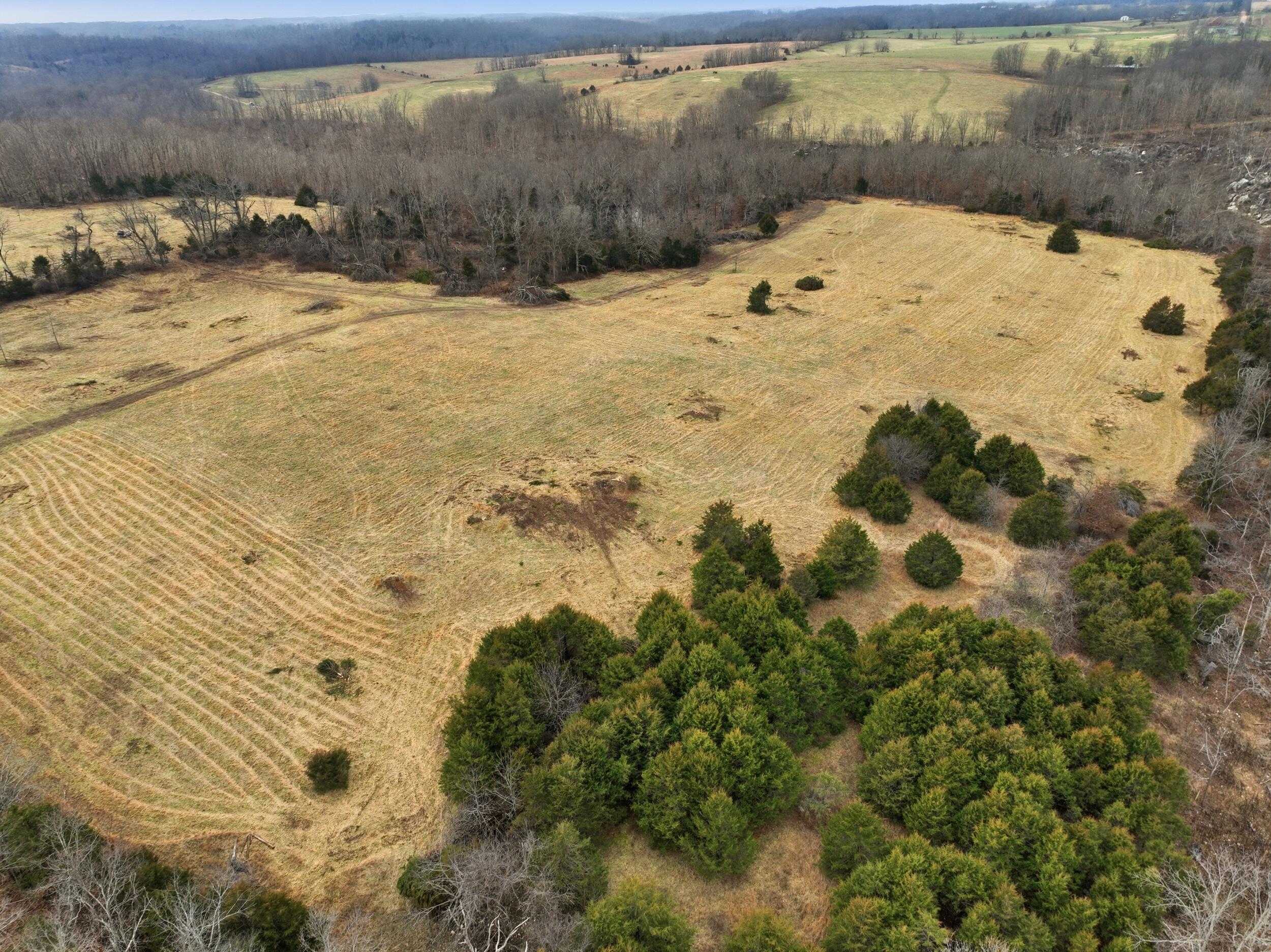 000 County Road 60-489 Property Photo 17