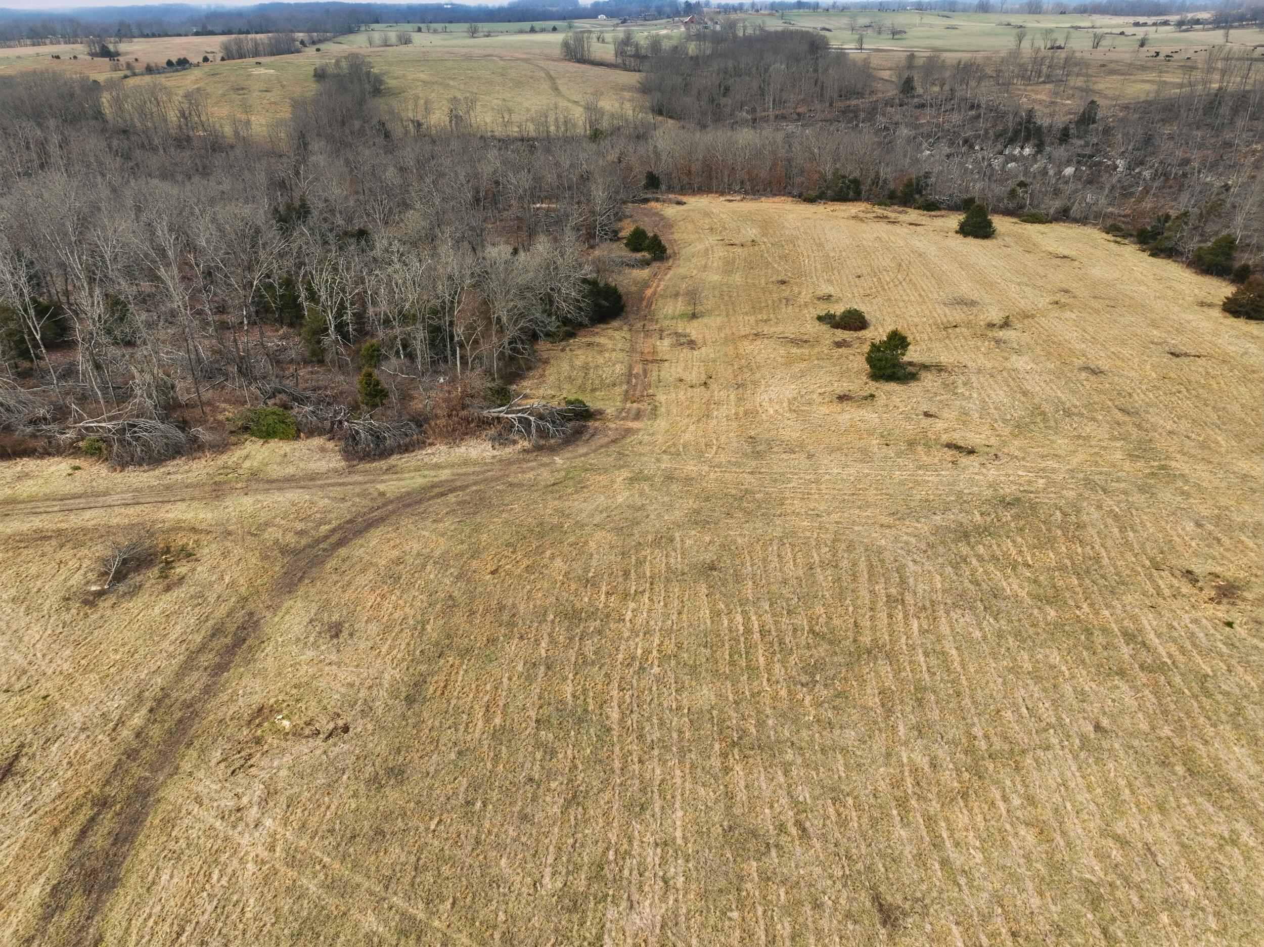 000 County Road 60-489 Property Photo 21