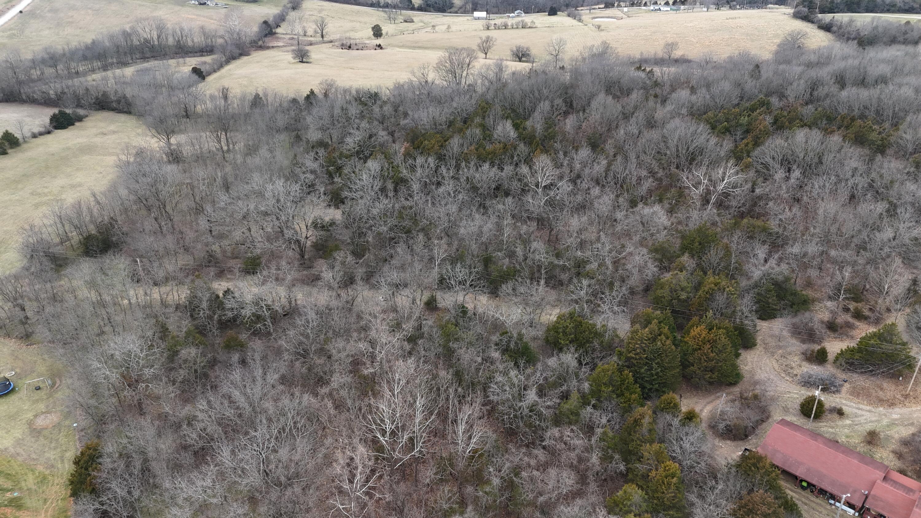 000 Accacia Drive Property Photo 6