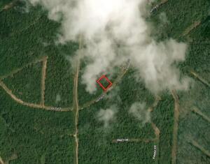 313 Ash Flat Drive Property Photo 1