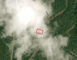 409 Ash Flat Drive Property Photo 1