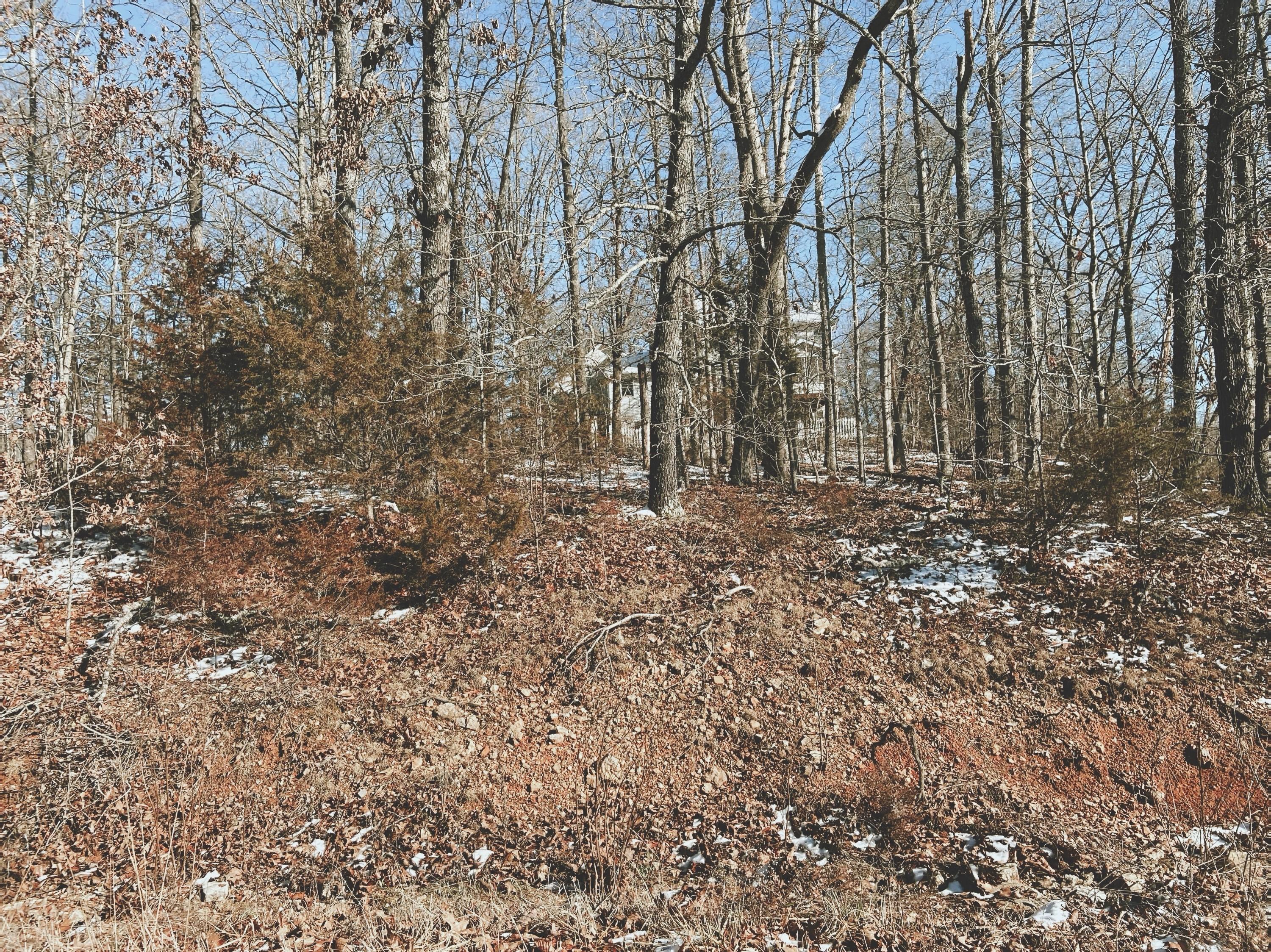 000 Lot 2 Block 13 Morrison Sub Property Photo 2