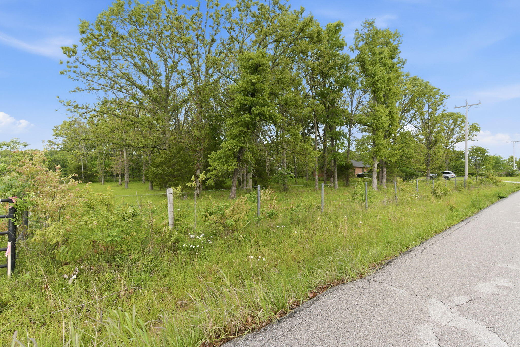 000 Chicory Road Tract 5 Property Photo 3