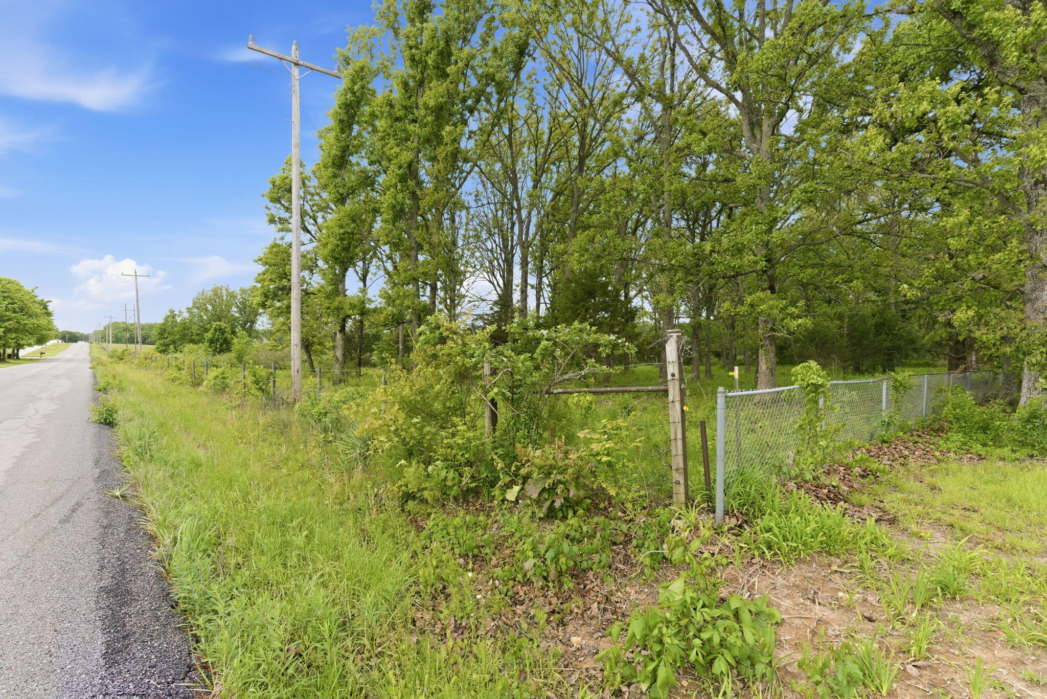 000 Chicory Road Tract 5 Property Photo 4