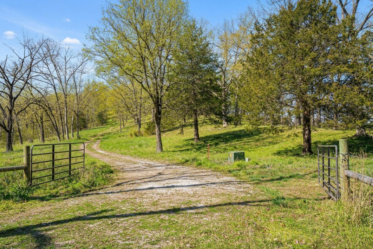 000 Long Bend Road Property Photo 19
