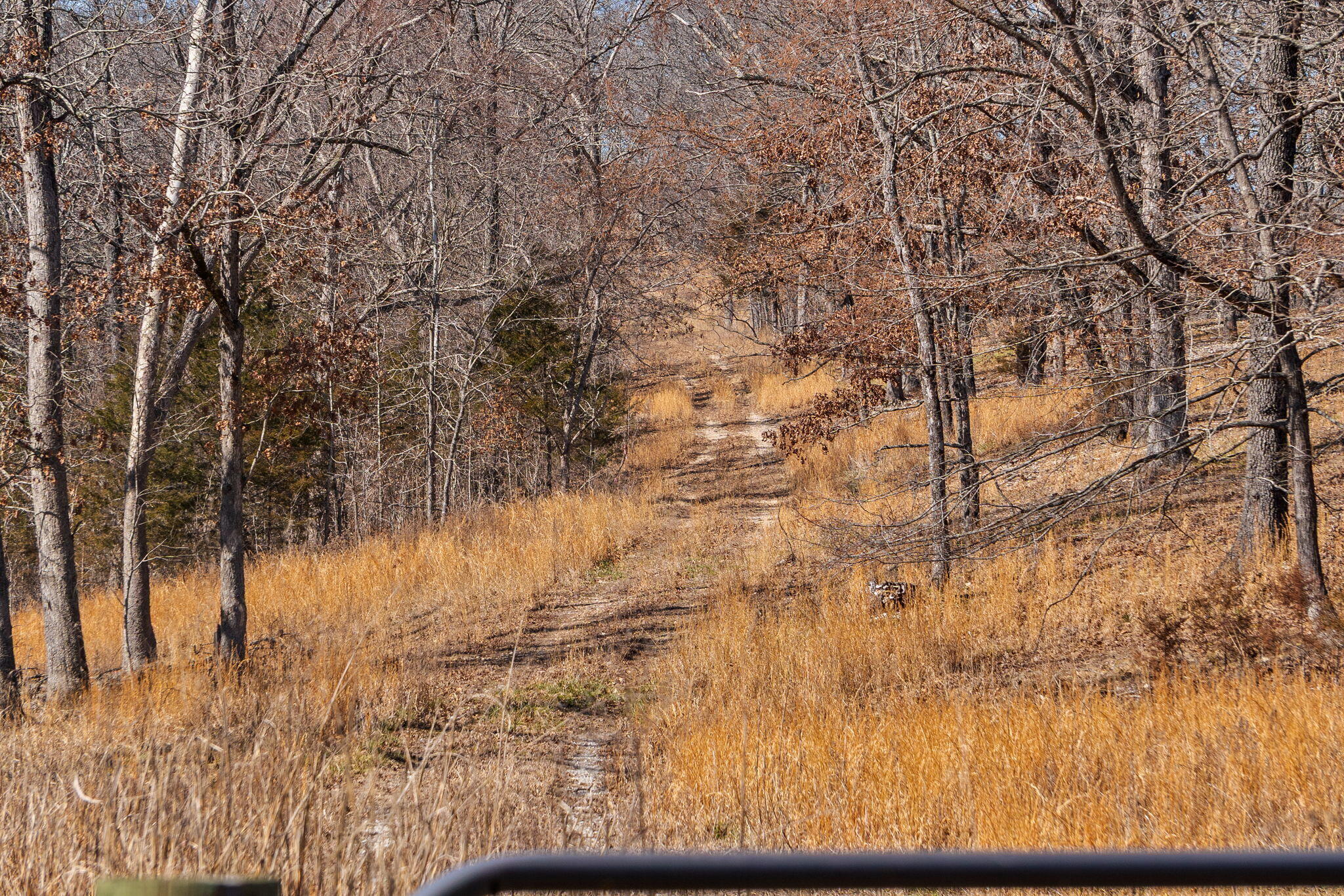 000 Long Bend Road Property Photo 47