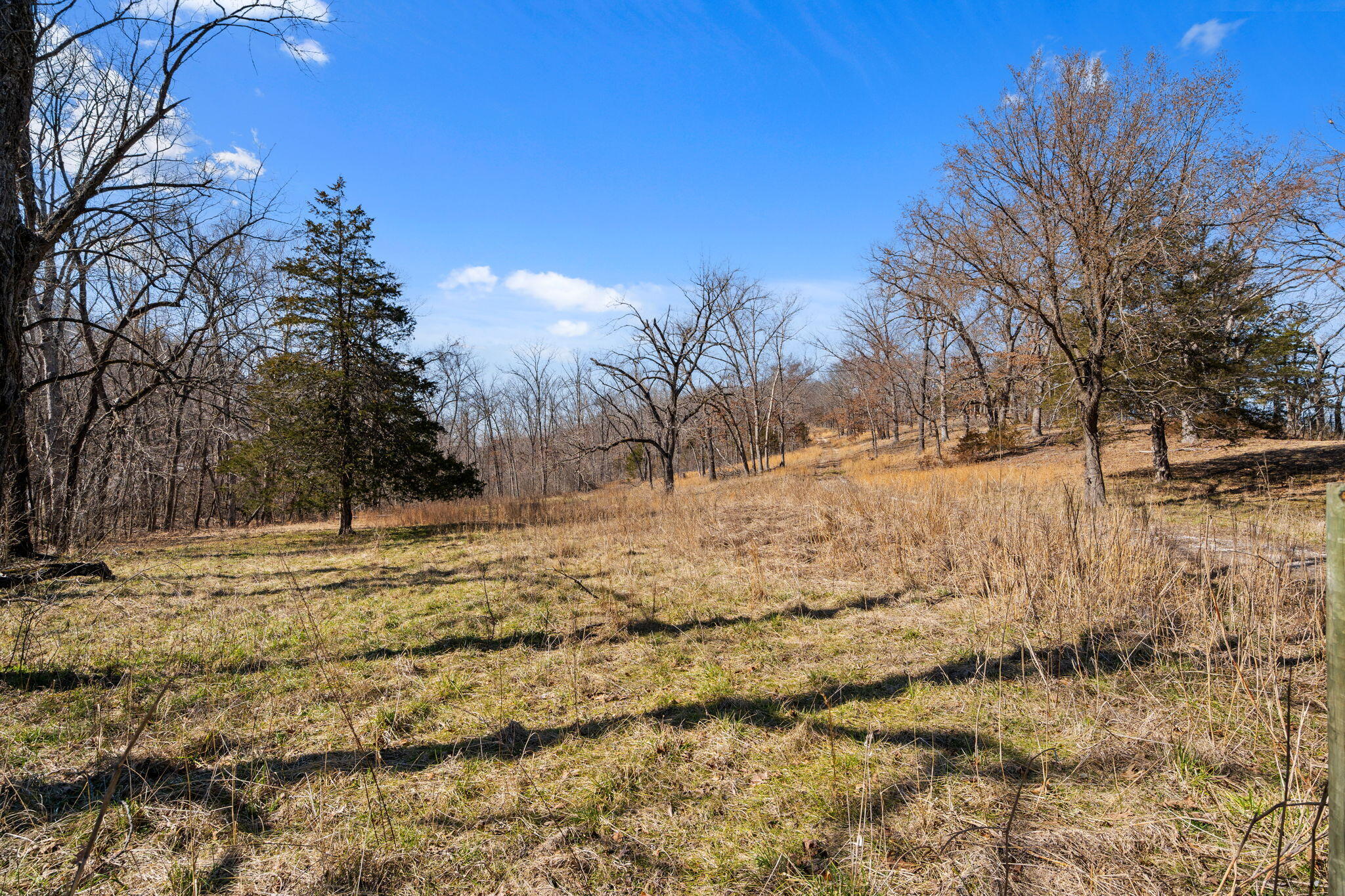 000 Long Bend Road Property Photo 48
