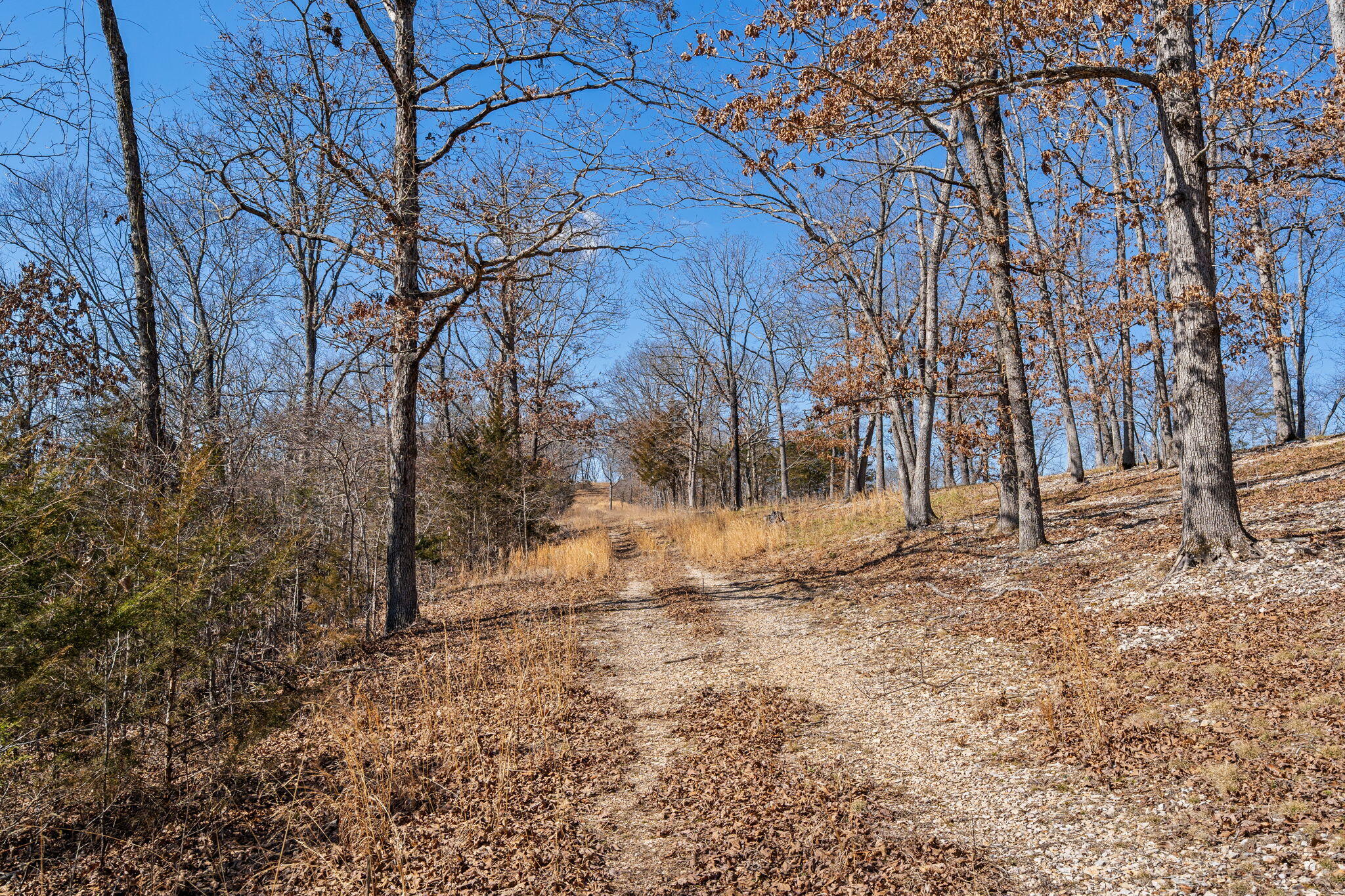 000 Long Bend Road Property Photo 51