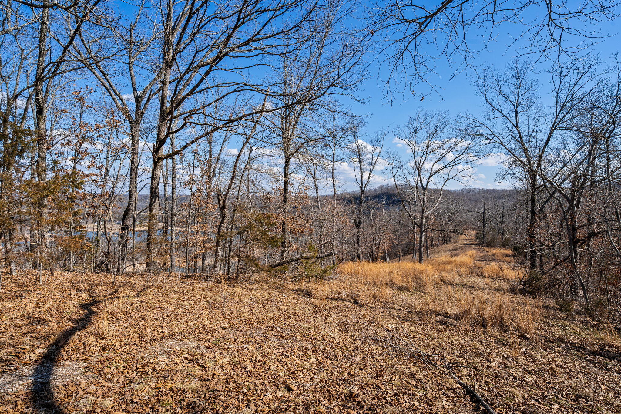 000 Long Bend Road Property Photo 55