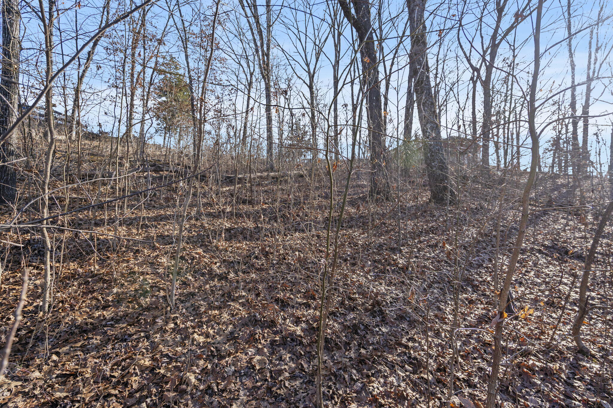 Tbd Silverbridge Lane Property Photo 11
