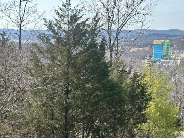 32 Canyon Parkway Property Photo 2