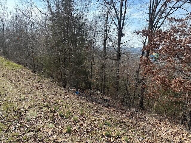 32 Canyon Parkway Property Photo 4