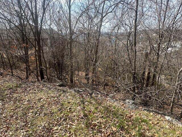 32 Canyon Parkway Property Photo 6
