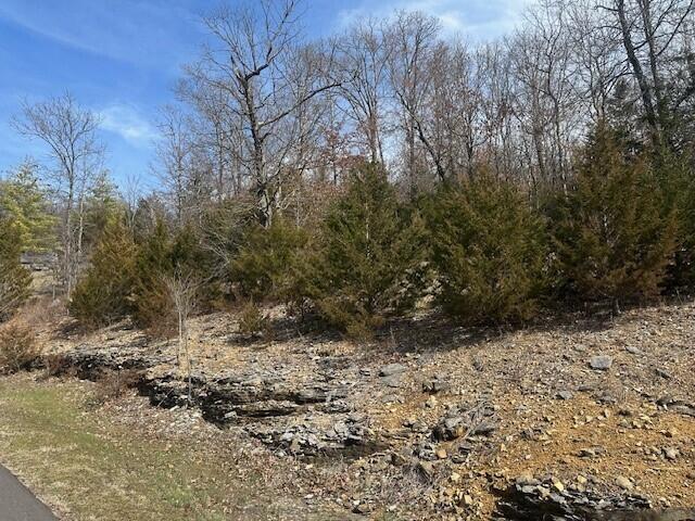 32 Canyon Parkway Property Photo 9