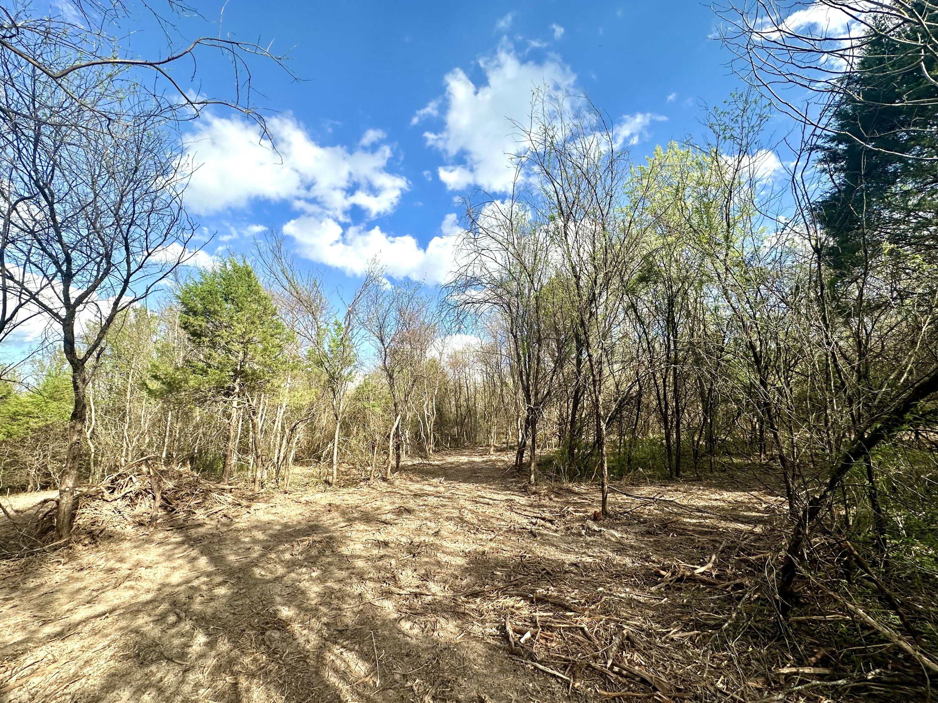 Lot 3 Mack Road Property Photo 1
