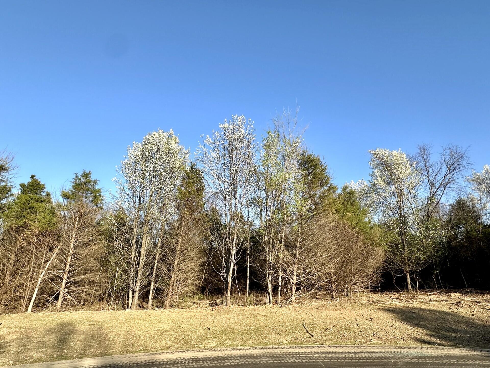 Lot 3 Mack Road Property Photo 2