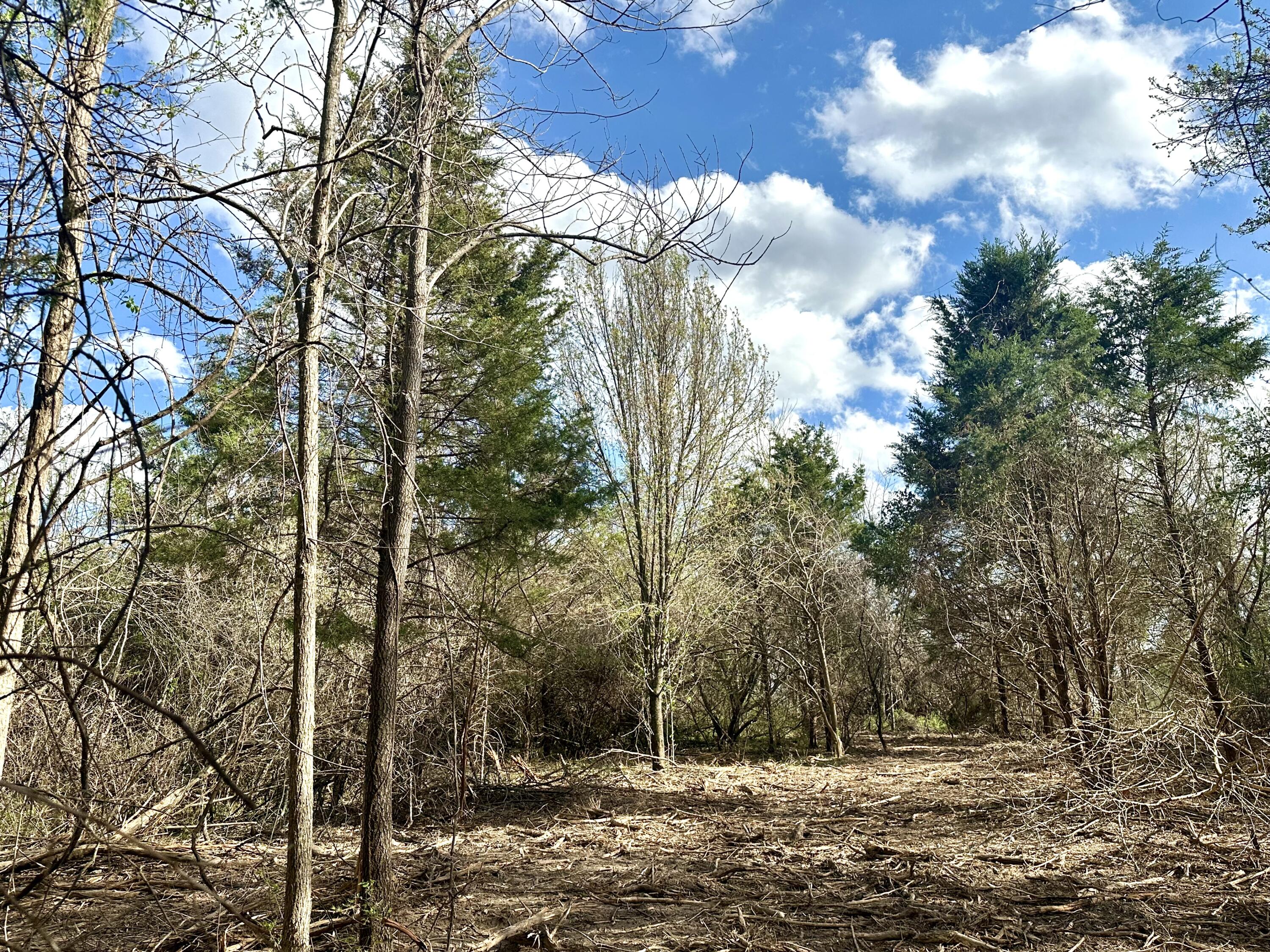 Lot 3 Mack Road Property Photo 4