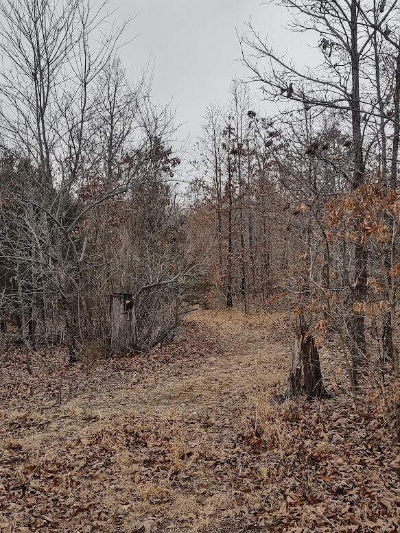 New$..8850 Highway Dd Property Photo 3