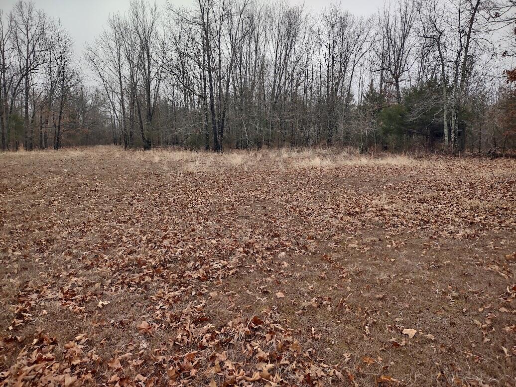 New$..8850 Highway Dd Property Photo 4