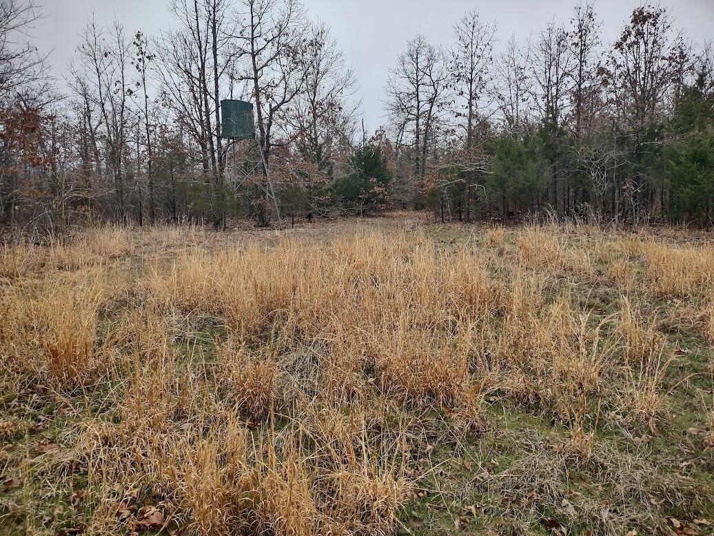 New$..8850 Highway Dd Property Photo 8