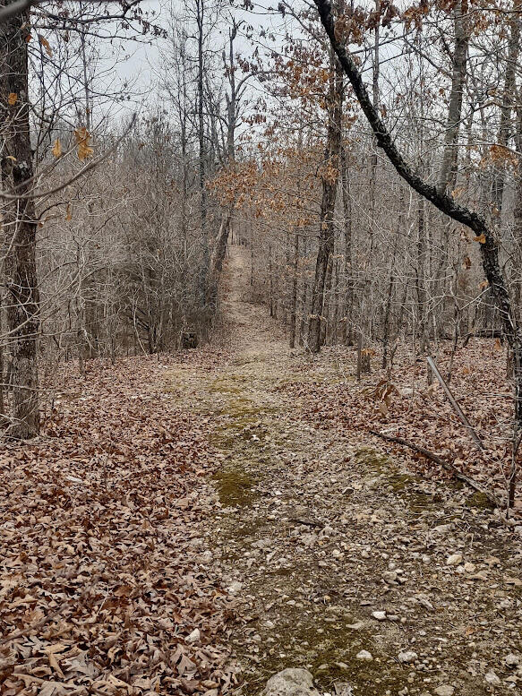 New$..8850 Highway Dd Property Photo 9