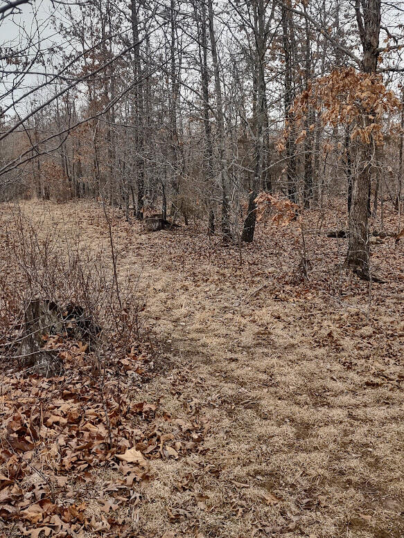 New$..8850 Highway Dd Property Photo 11