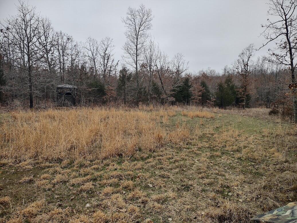 New$..8850 Highway Dd Property Photo 12