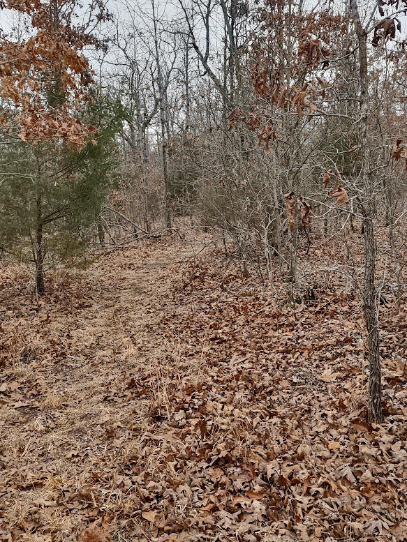 New$..8850 Highway Dd Property Photo 13