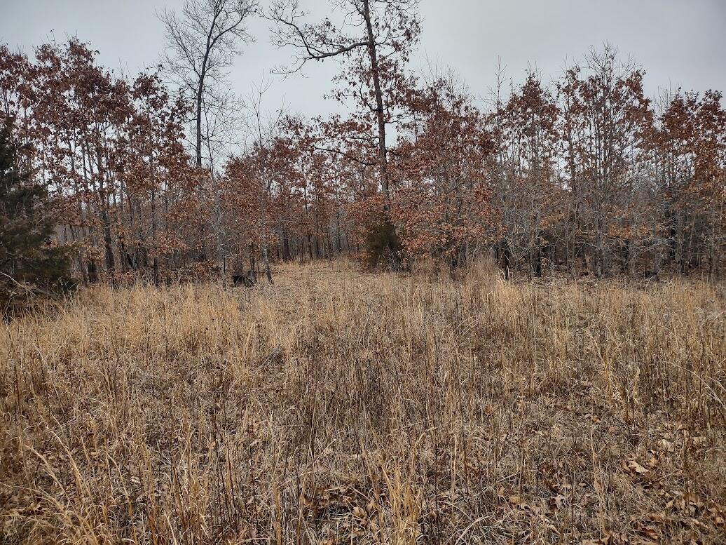 New$..8850 Highway Dd Property Photo 14