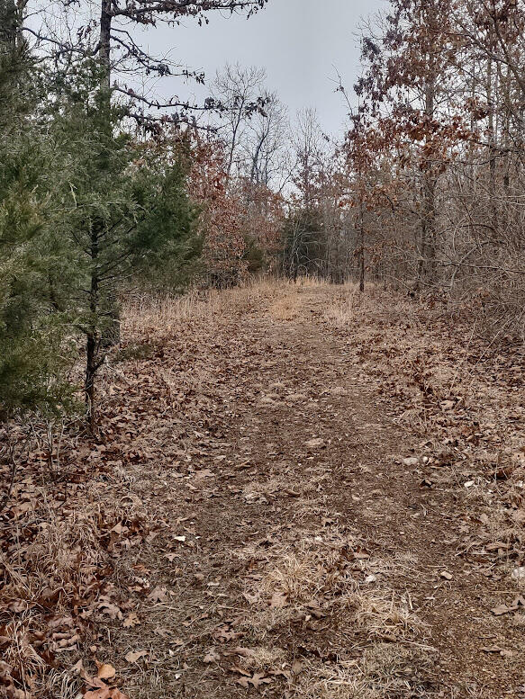 New$..8850 Highway Dd Property Photo 15