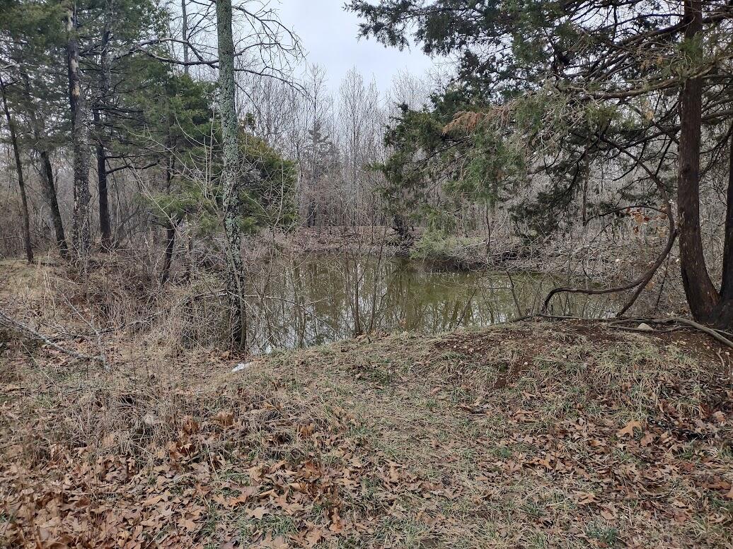 New$..8850 Highway Dd Property Photo 18