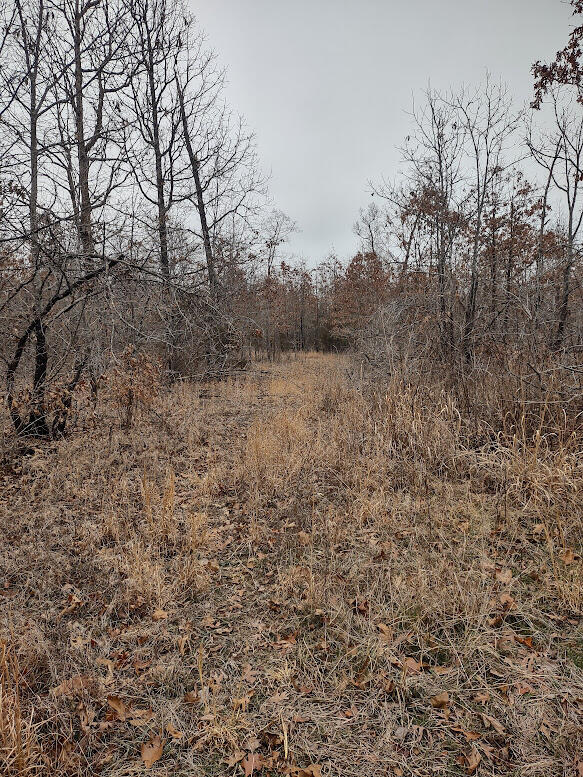 New$..8850 Highway Dd Property Photo 19