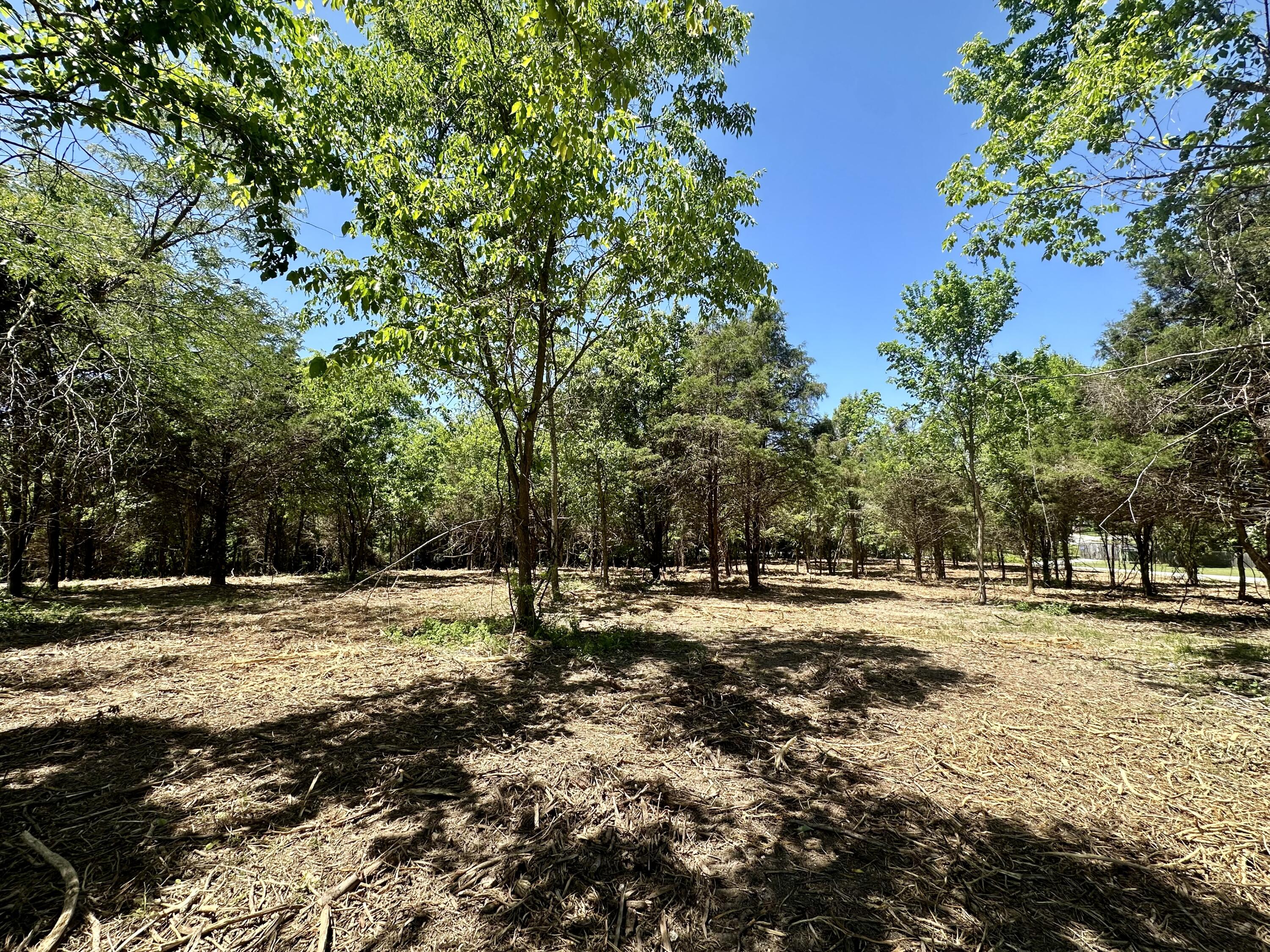 Lot 6 Mack Road Property Photo 3