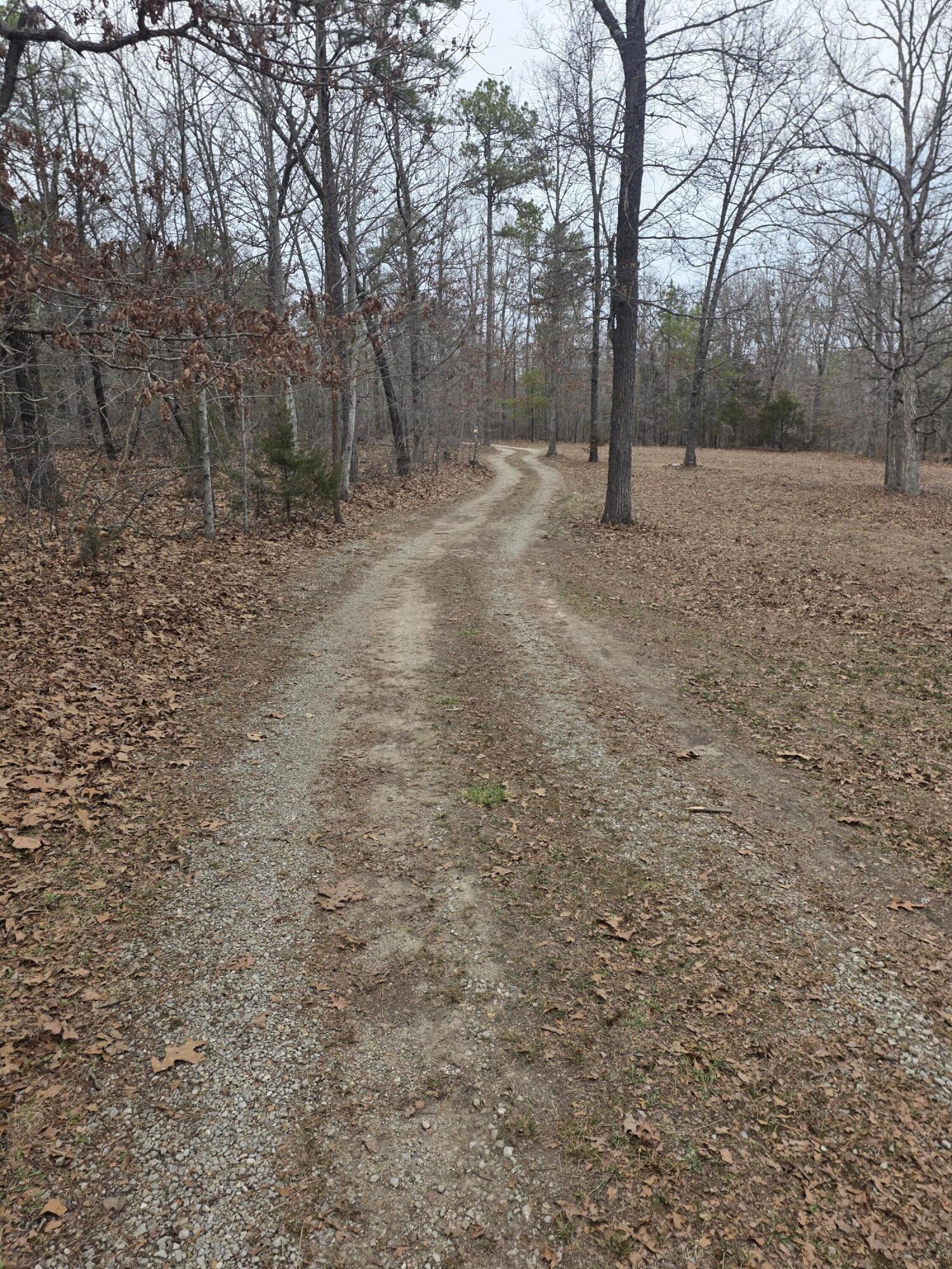 8830 State Hwy E Property Photo 54