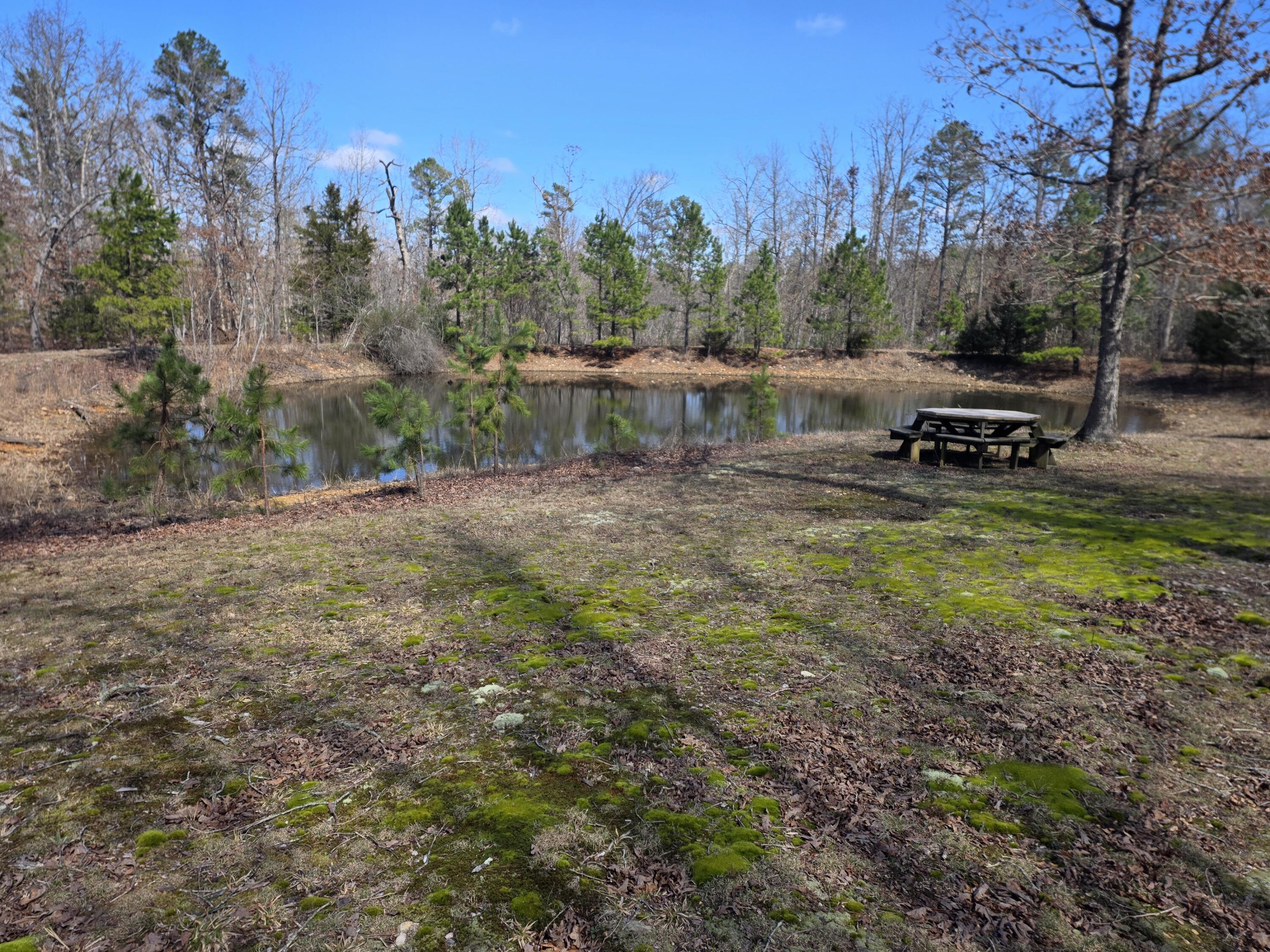 8830 State Hwy E Property Photo 55