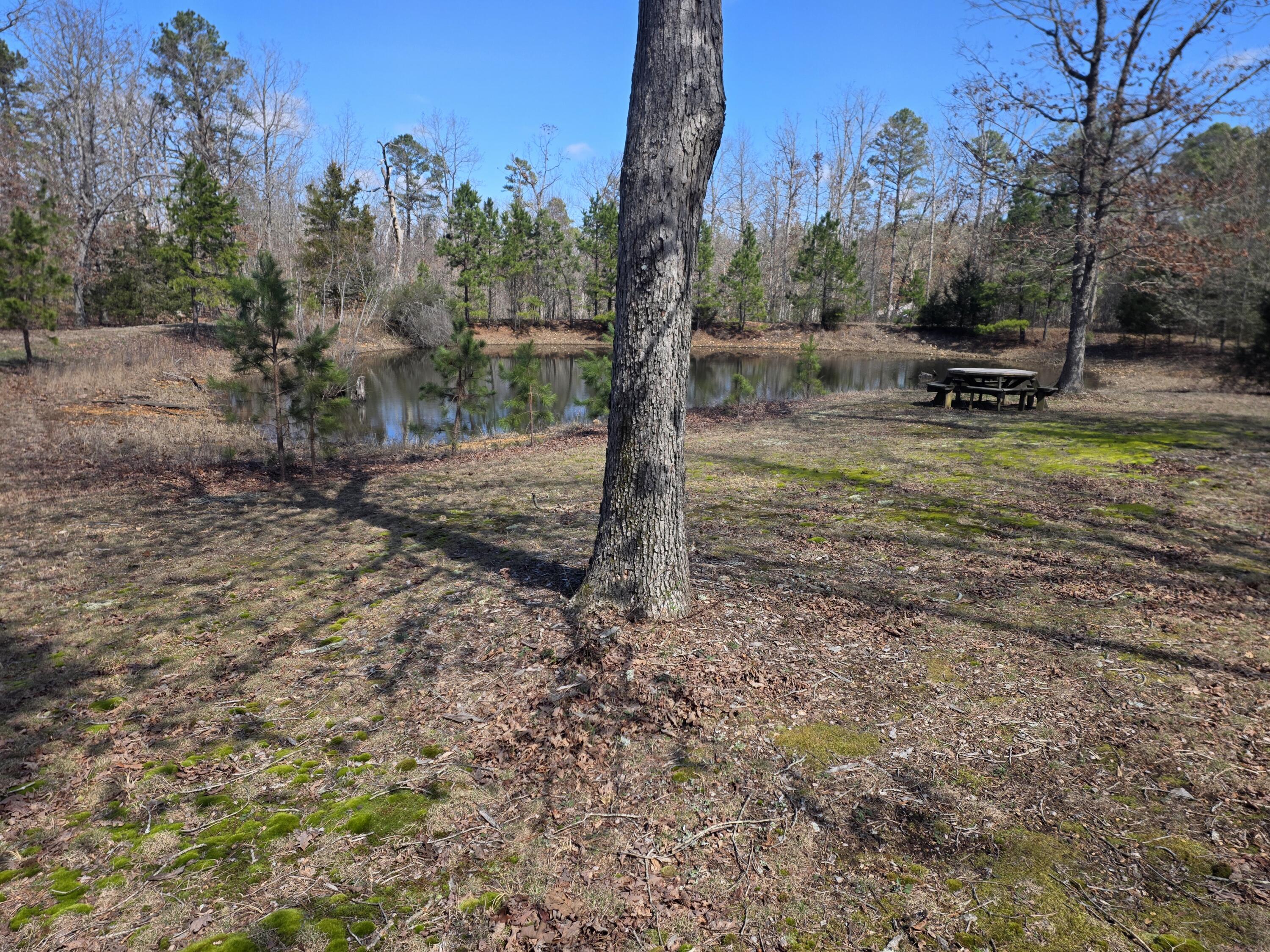 8830 State Hwy E Property Photo 56
