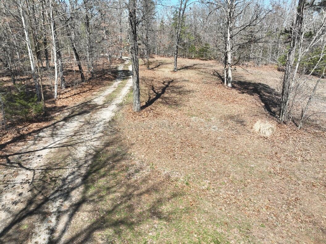 8830 State Hwy E Property Photo 62
