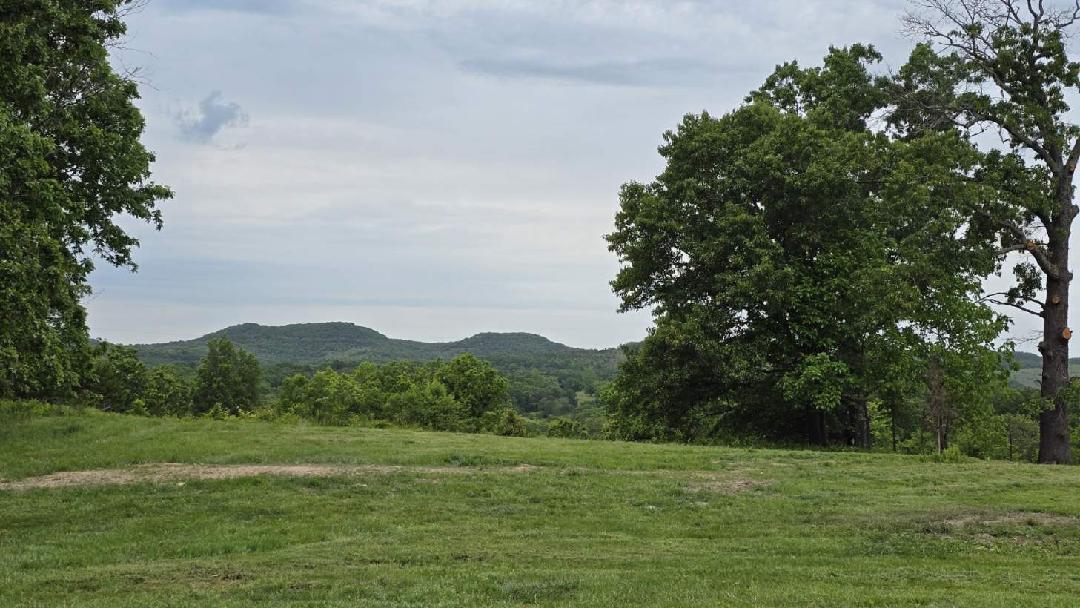 12134 State Hwy D Property Photo 6
