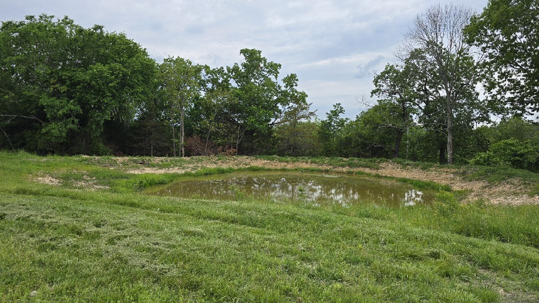 12134 State Hwy D Property Photo 21