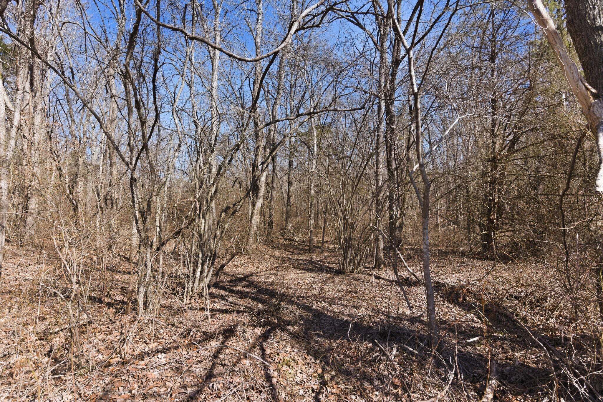 12134 State Hwy D Property Photo 25