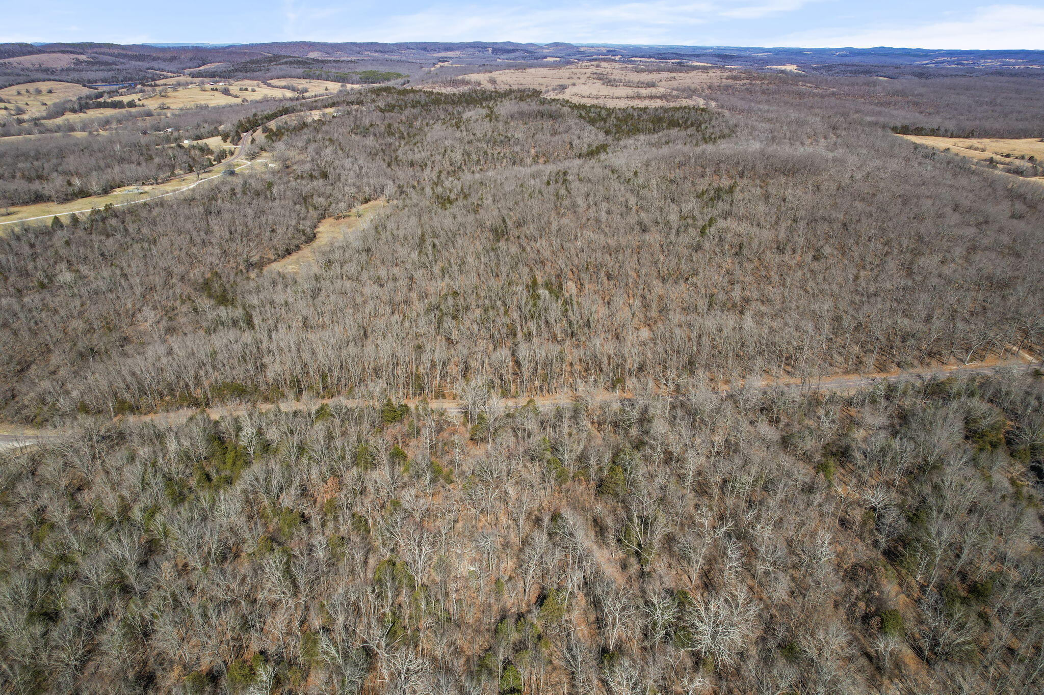 12134 State Hwy D Property Photo 29