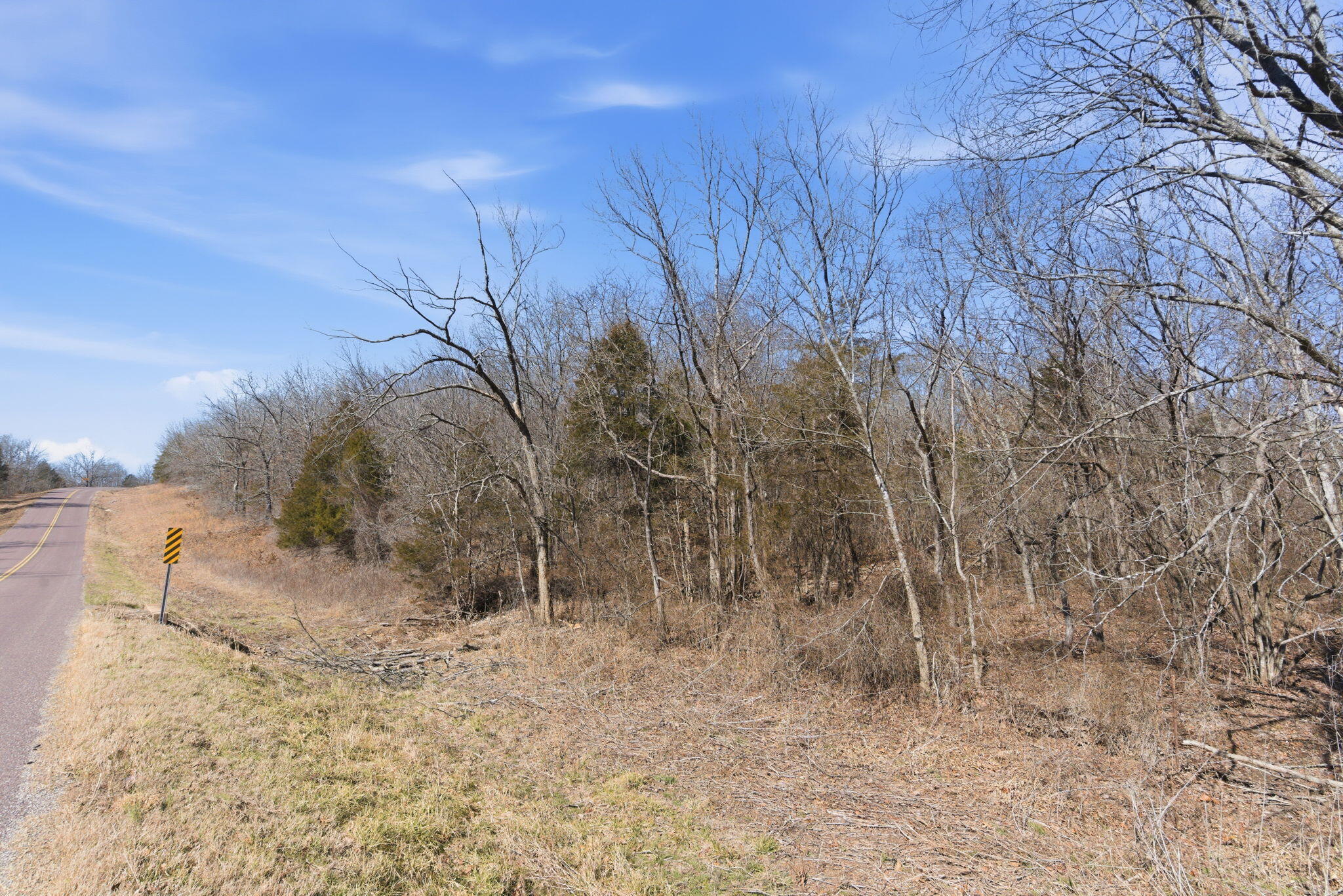 12134 State Hwy D Property Photo 31