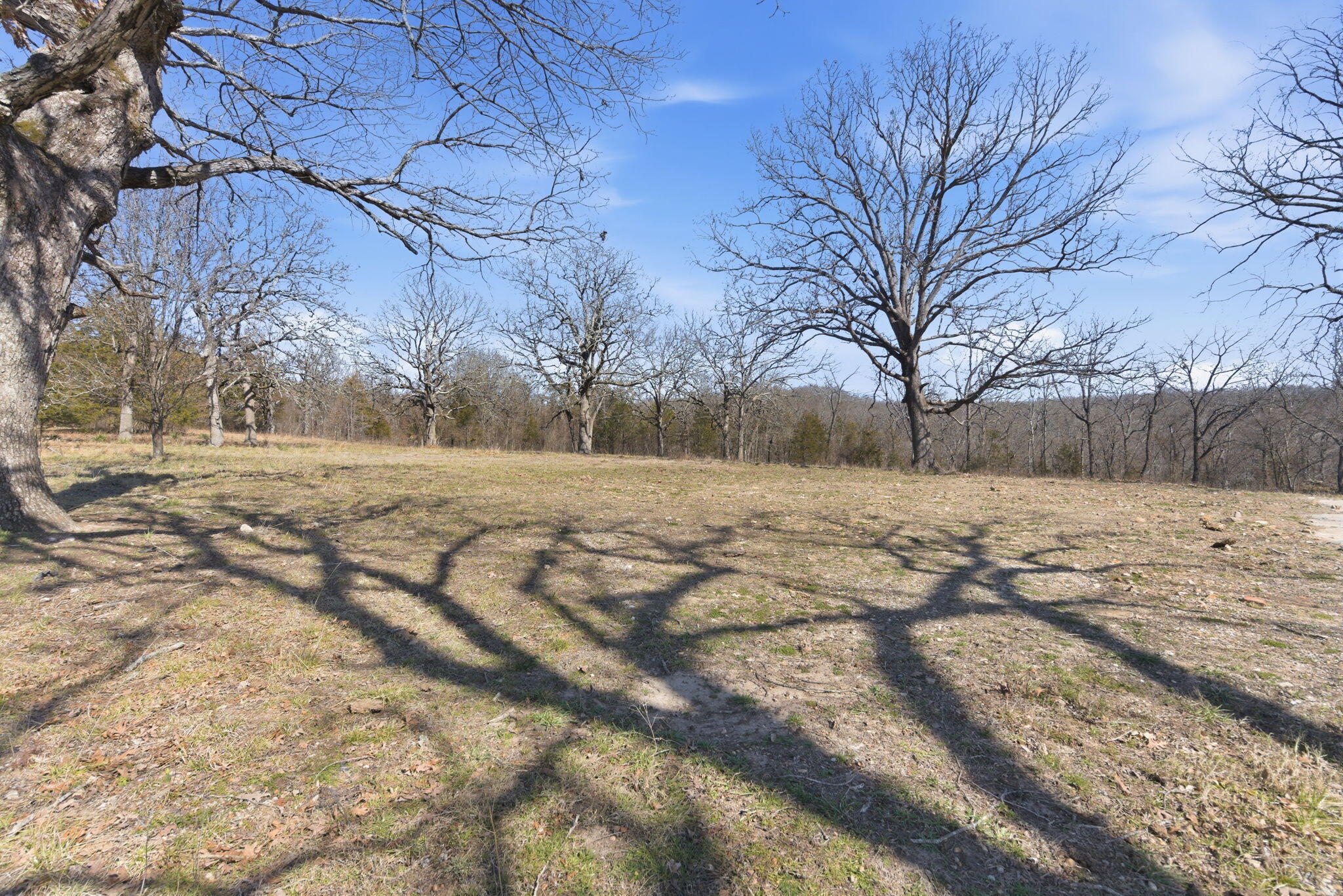 12134 State Hwy D Property Photo 32