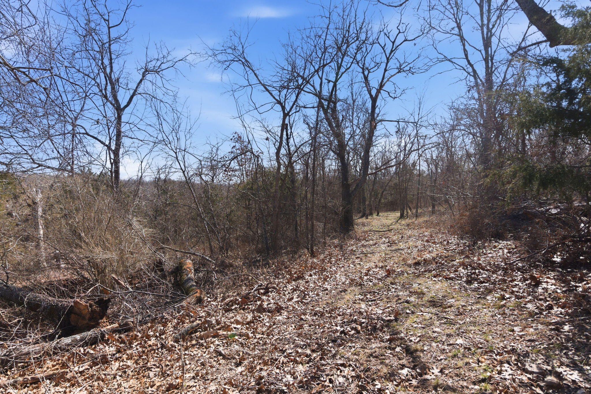 12134 State Hwy D Property Photo 34
