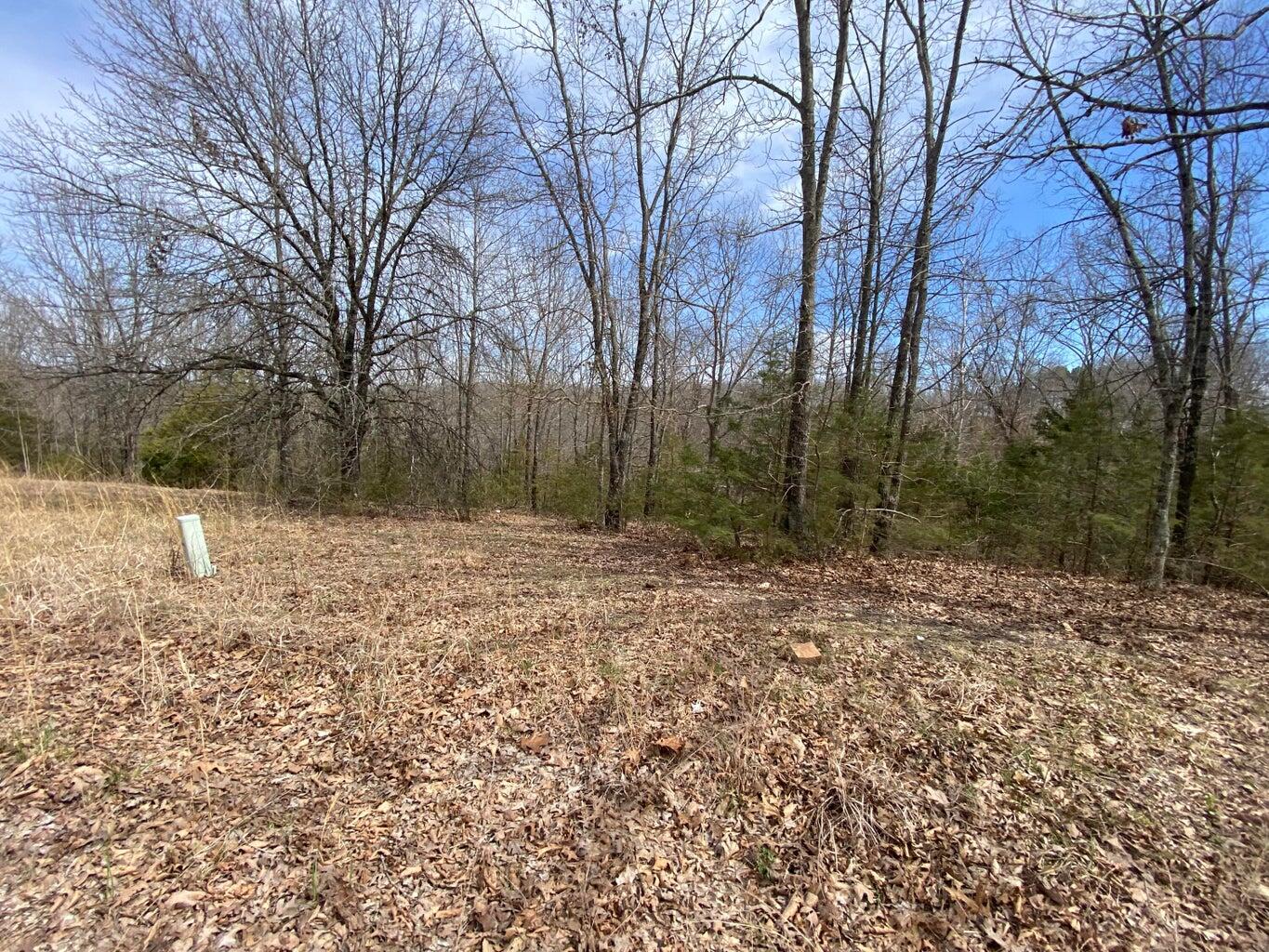000 Westgate Lane Property Photo 6