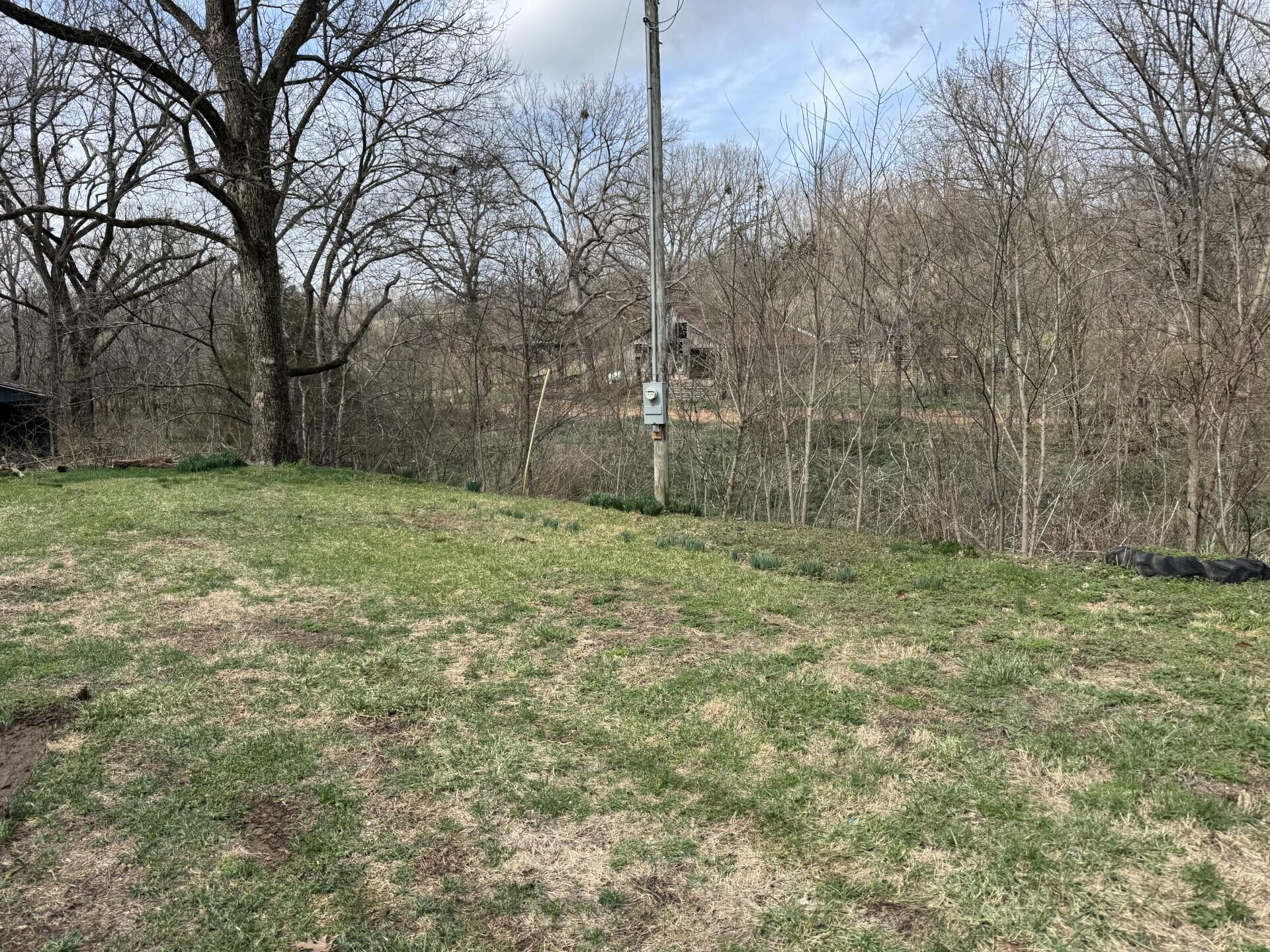 421 Farm Road 2160 Property Photo 19