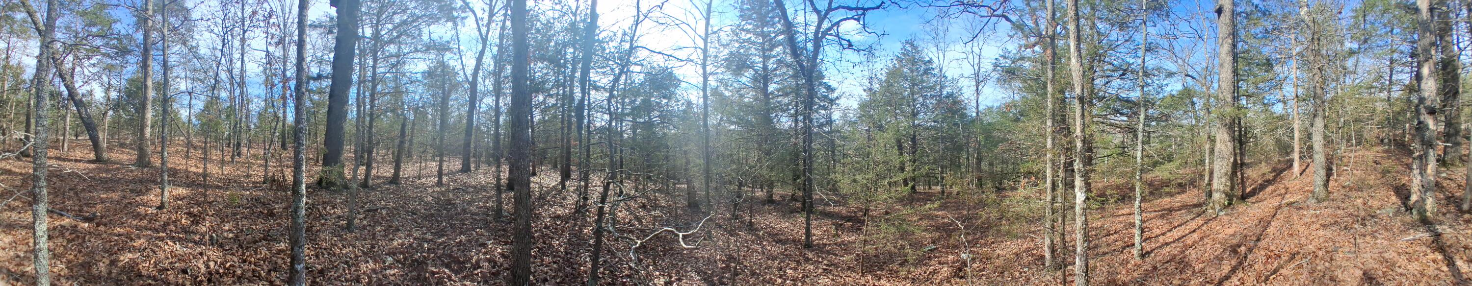 000 Greers Ferry Road Property Photo 11