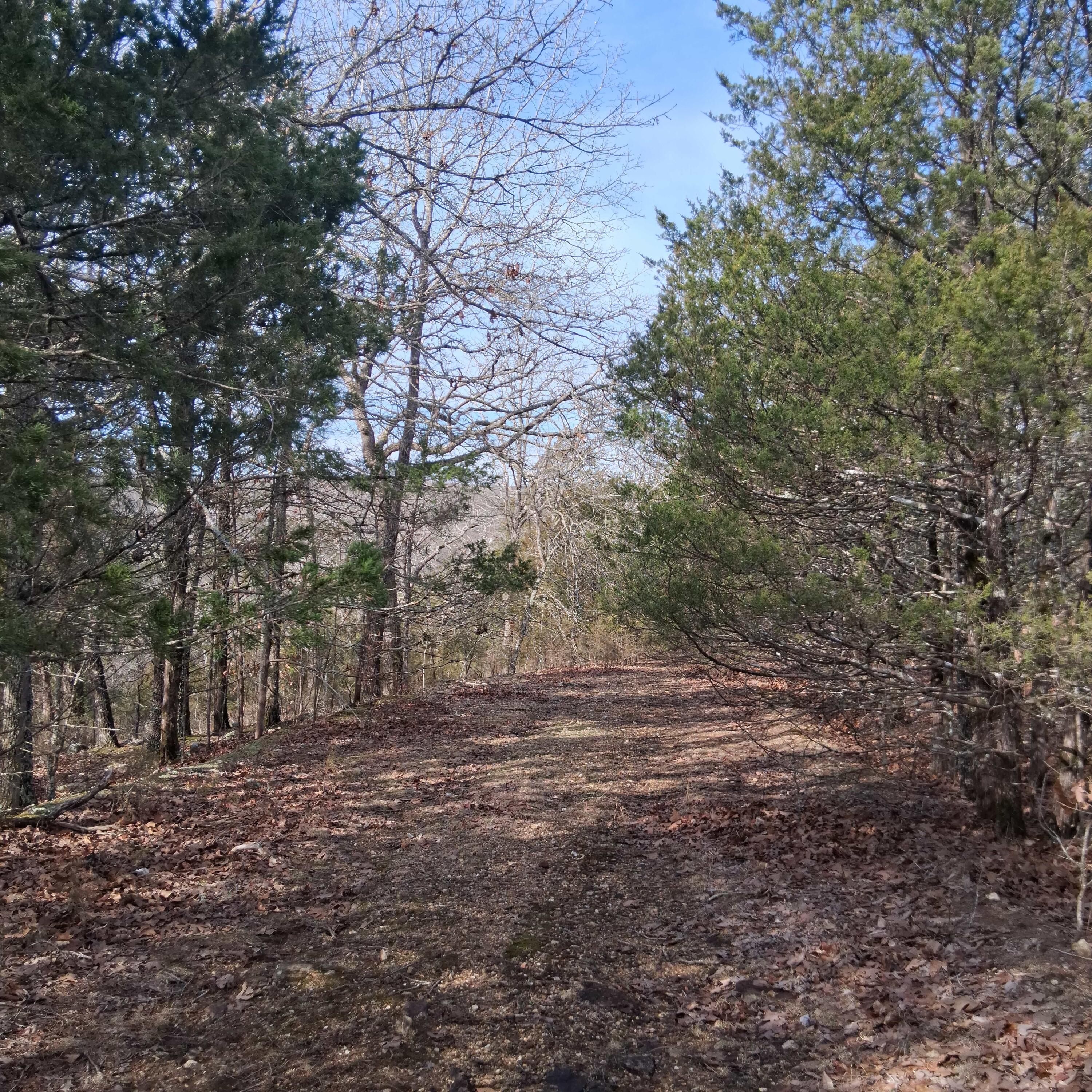 000 Greers Ferry Road Property Photo 18