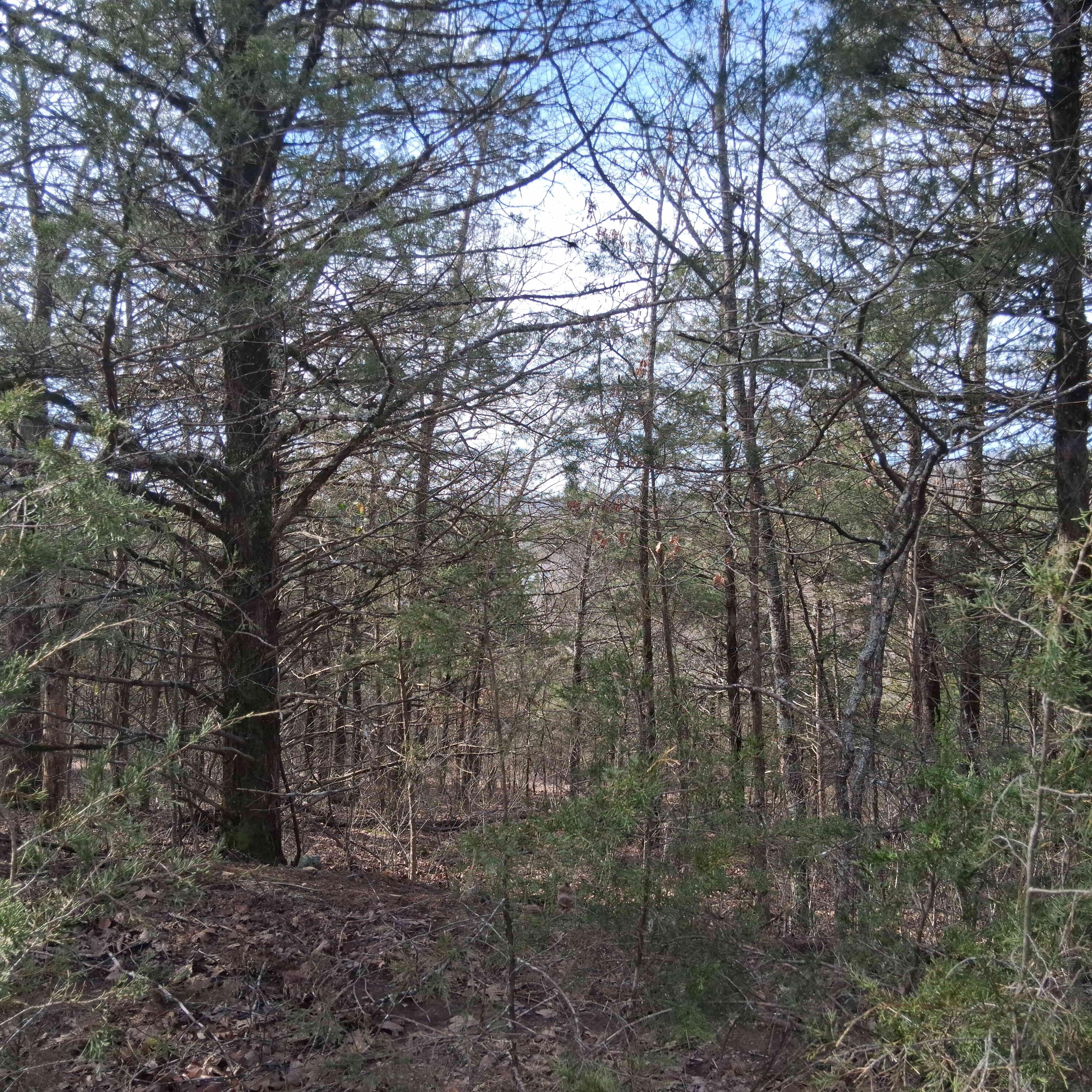 000 Greers Ferry Road Property Photo 23